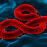 epidemie ebola