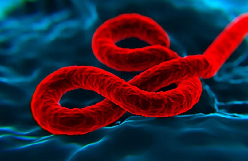 epidemie ebola
