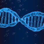 vzorky dna covid