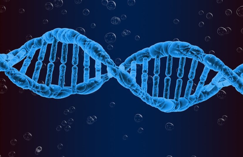 vzorky dna covid