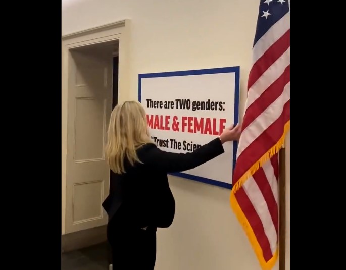 kongresmanka transgender
