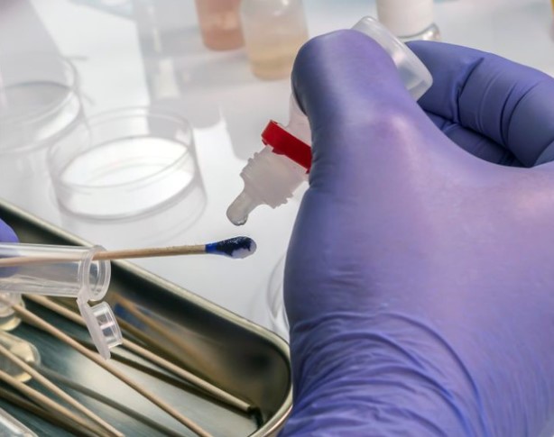 pcr test