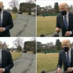falešný biden