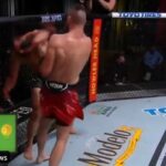 procházka ufc