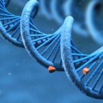 sběr dna