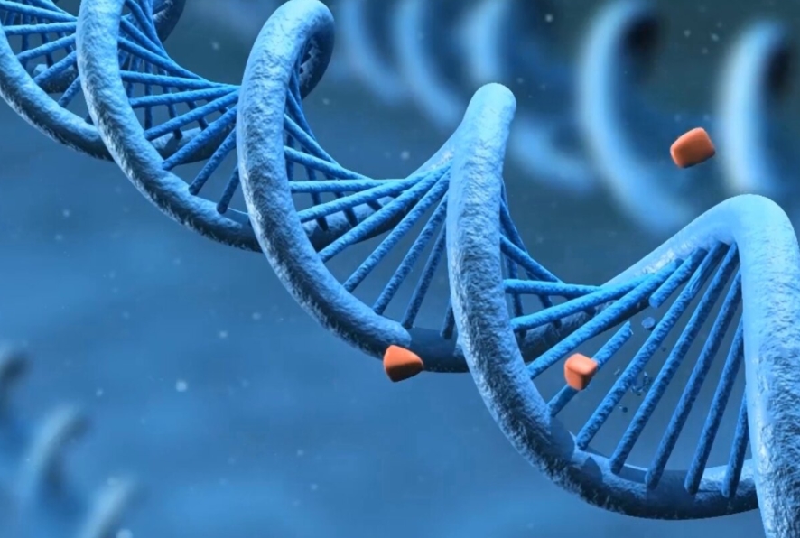 sběr dna
