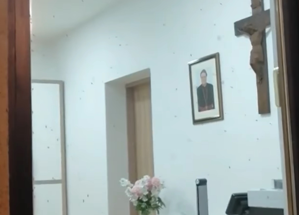 chorvatsko komáři