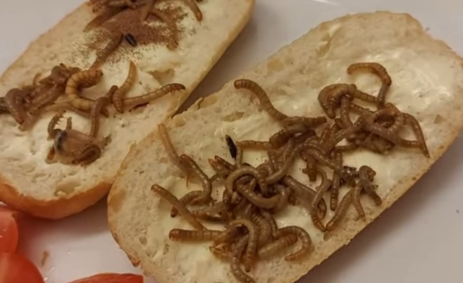 červy eu