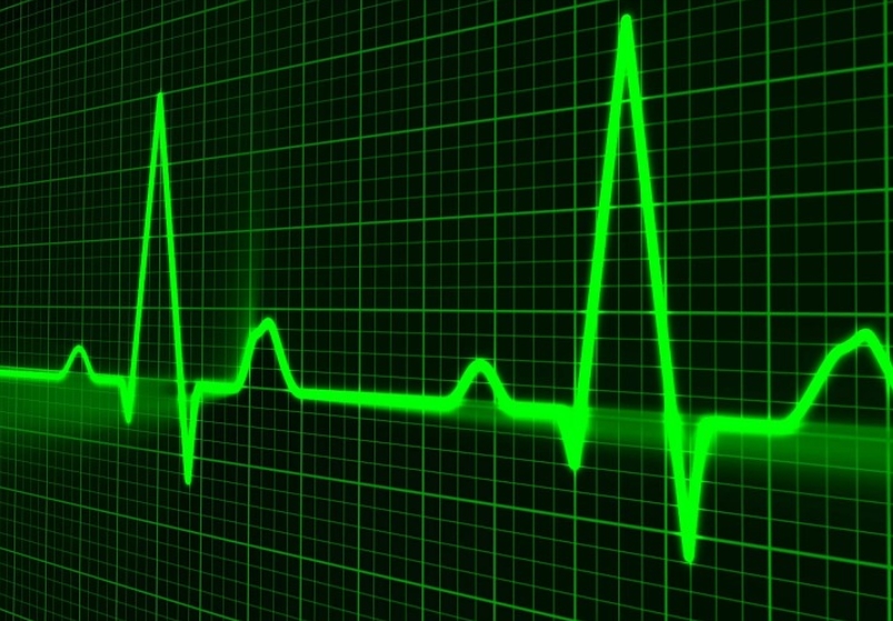 puls země