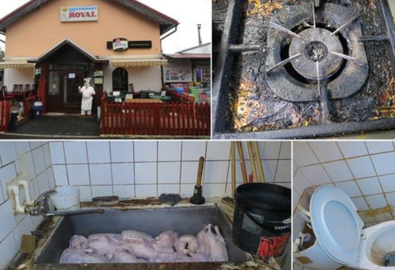 restaurace royal aš