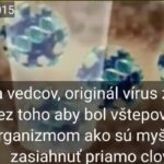 sars-cov2 reportáž 2015