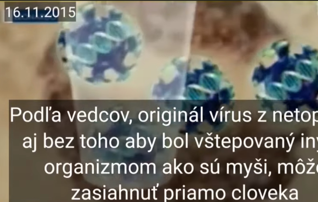 sars-cov2 reportáž 2015