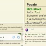 pedofilie čepek česko