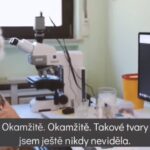 vakcíny proti Covid-19
