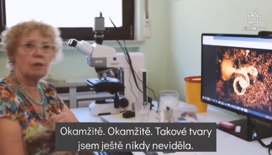 vakcíny proti Covid-19