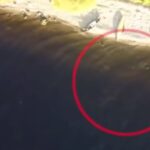 lochnesská příšera