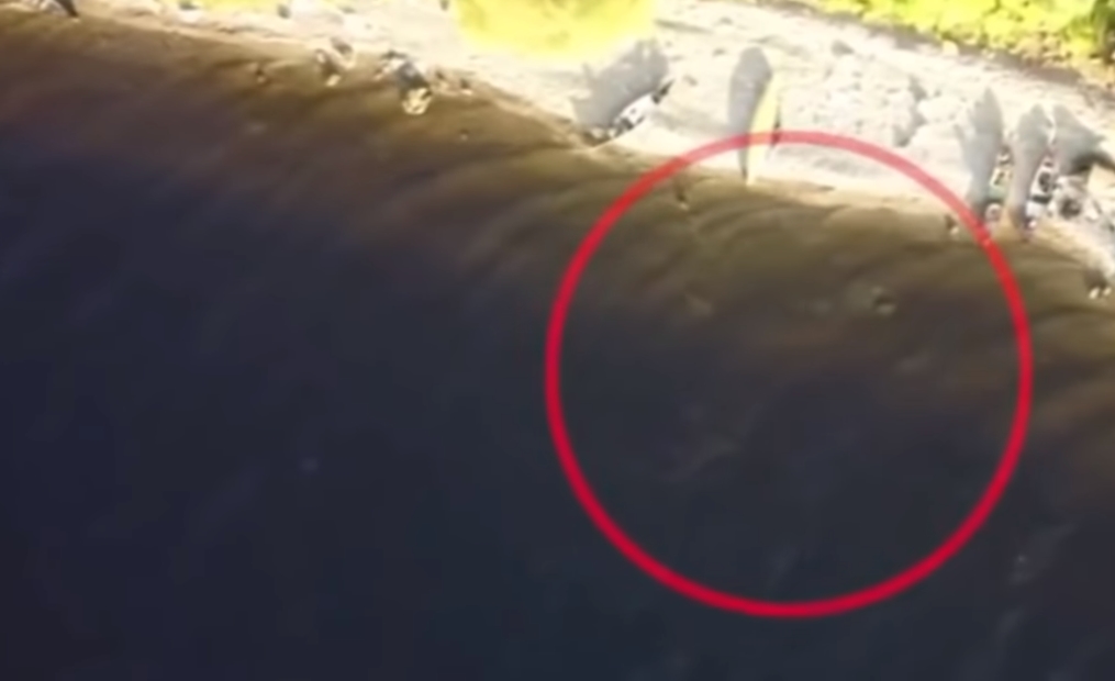 lochnesská příšera