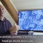 krev neočkovaných