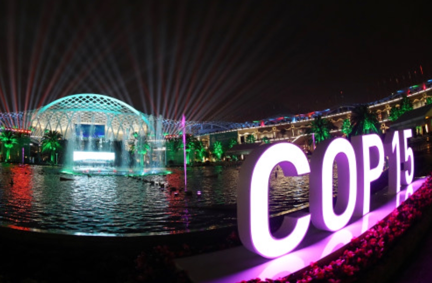 cop15