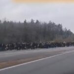 migranti polsko