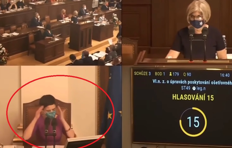 řízení sněmovny richterová