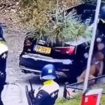 pes policista covid