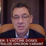 bourla virus