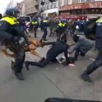 protest policie covid