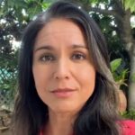 gabbard ukrajina