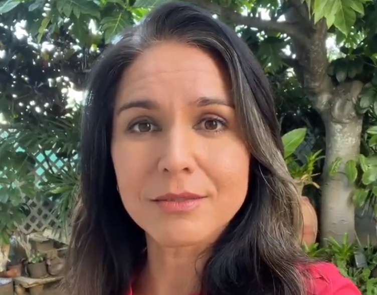 gabbard ukrajina