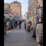toronto konvoj svobody
