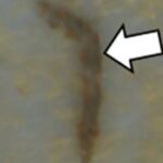 mikroplasty