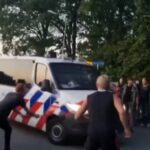 farmáři palice protest