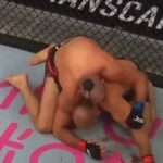 procházka ufc