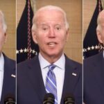 biden deepfake