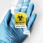 nipah virus