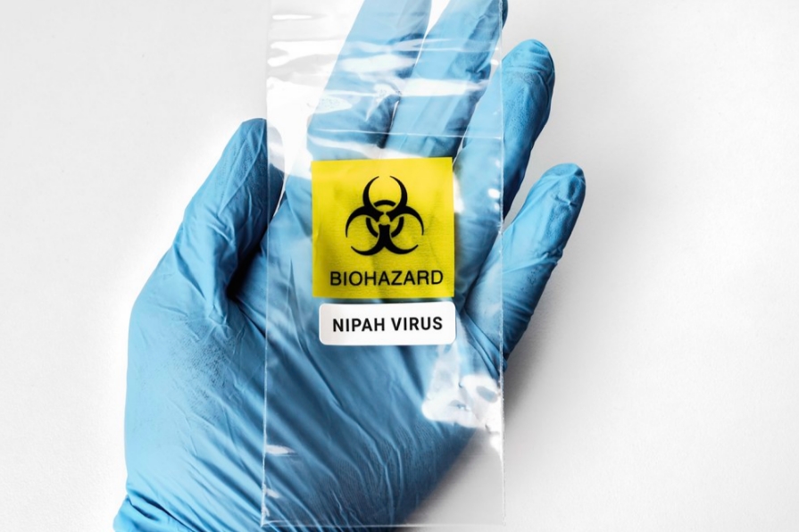 nipah virus