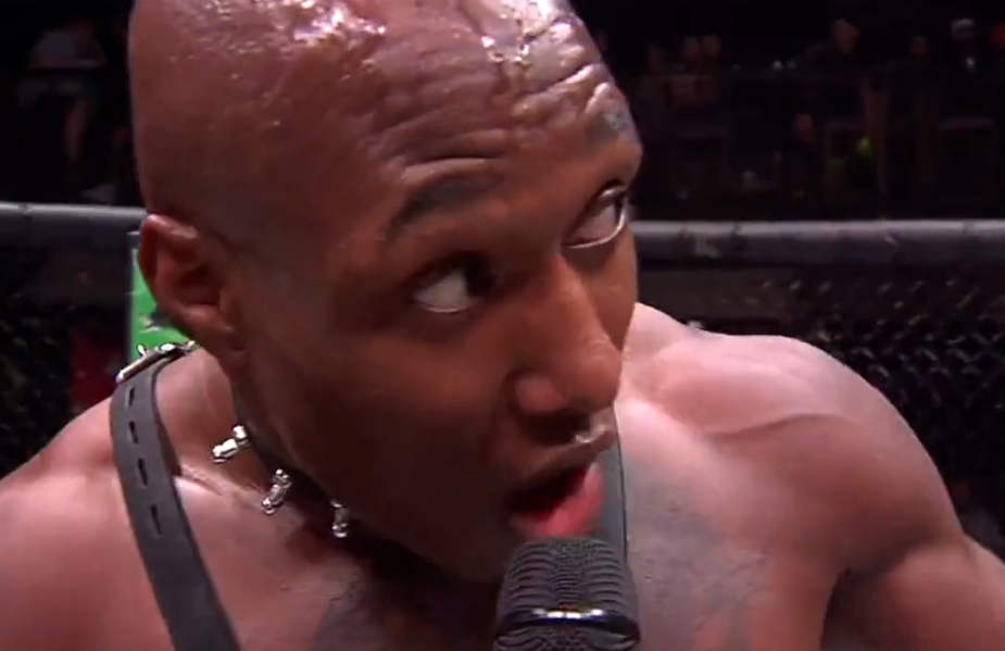 ufc média pedofilové