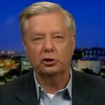 gragam lindsey trump