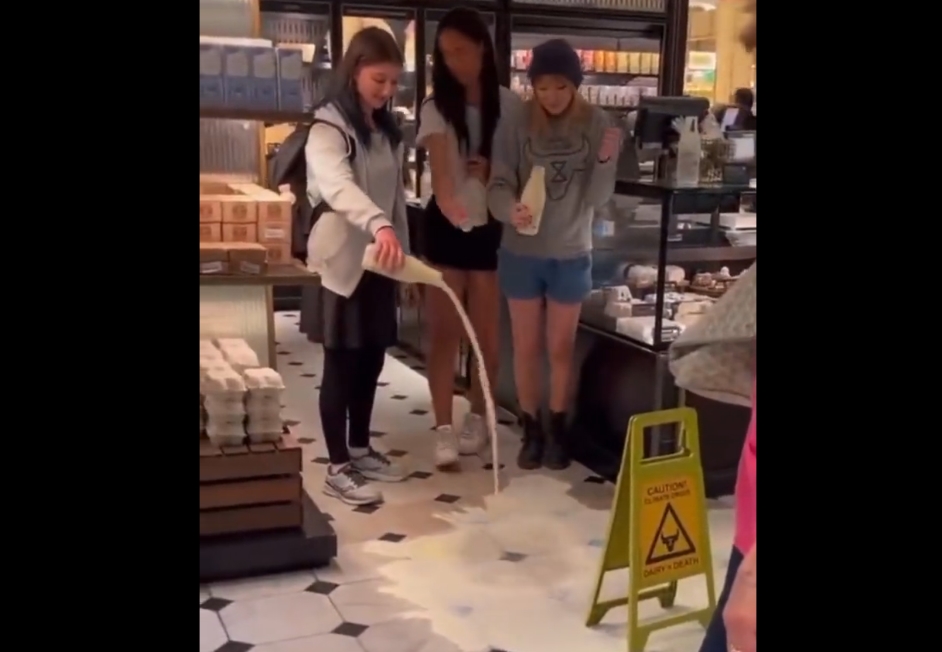 vegan mléko protest