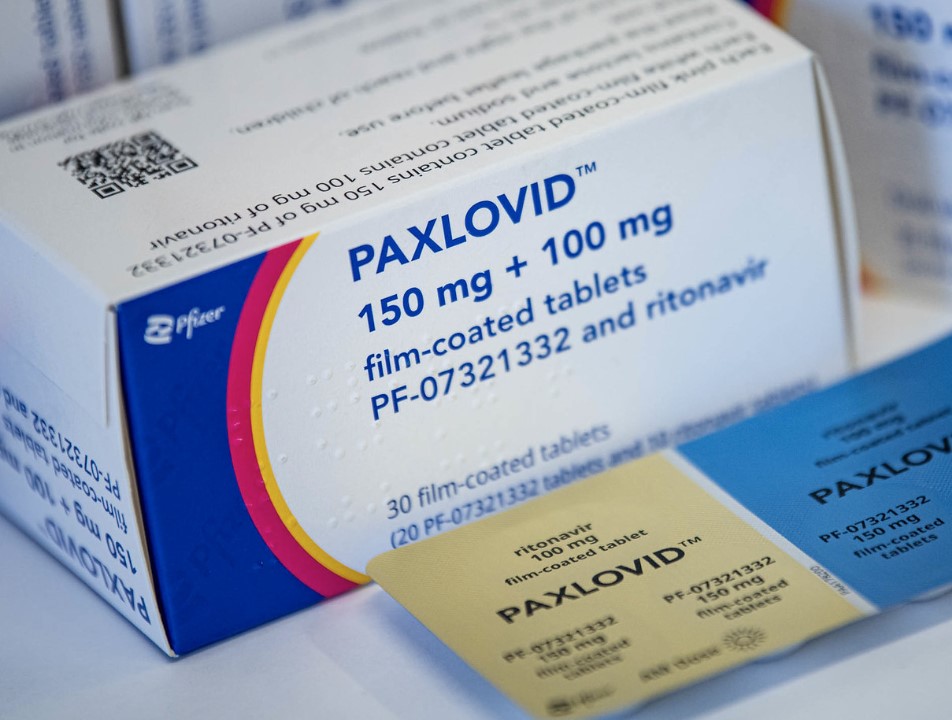 paxlovid pfizer