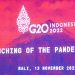 G20