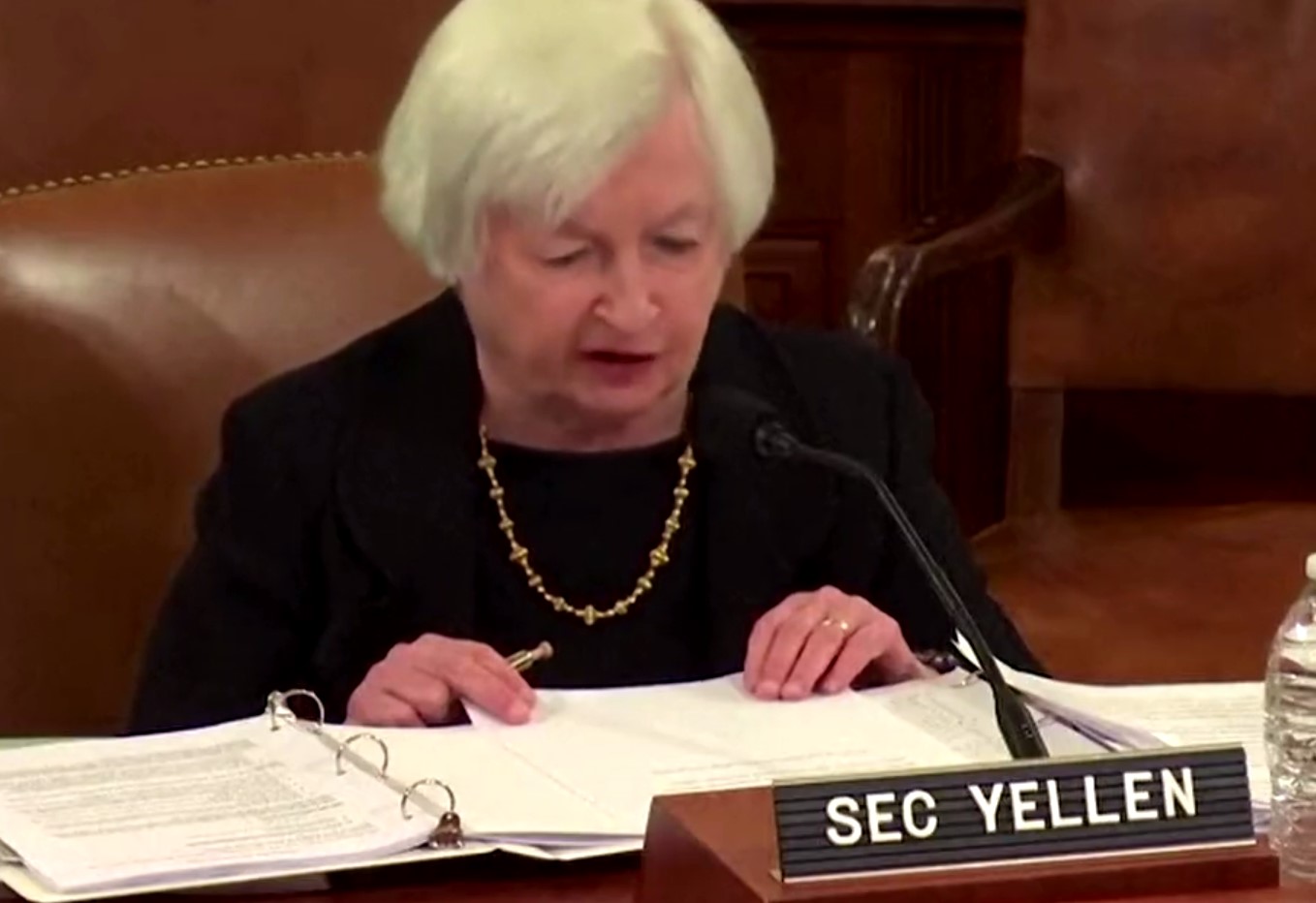 ministryně financí usa yellen