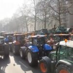 protest brusel