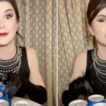 bud light trans