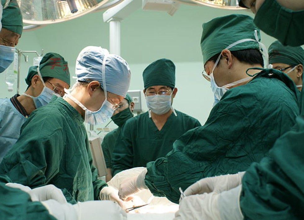 transplantace ledvina lékař