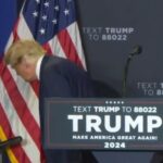 trump biden napodobení