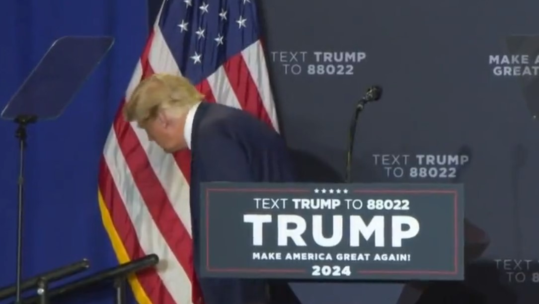trump biden napodobení