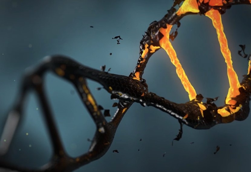 dna genetický