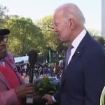 biden vajíčka